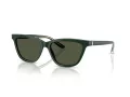 Giorgio Armani Lunettes de Soleil AR 8221 617331
