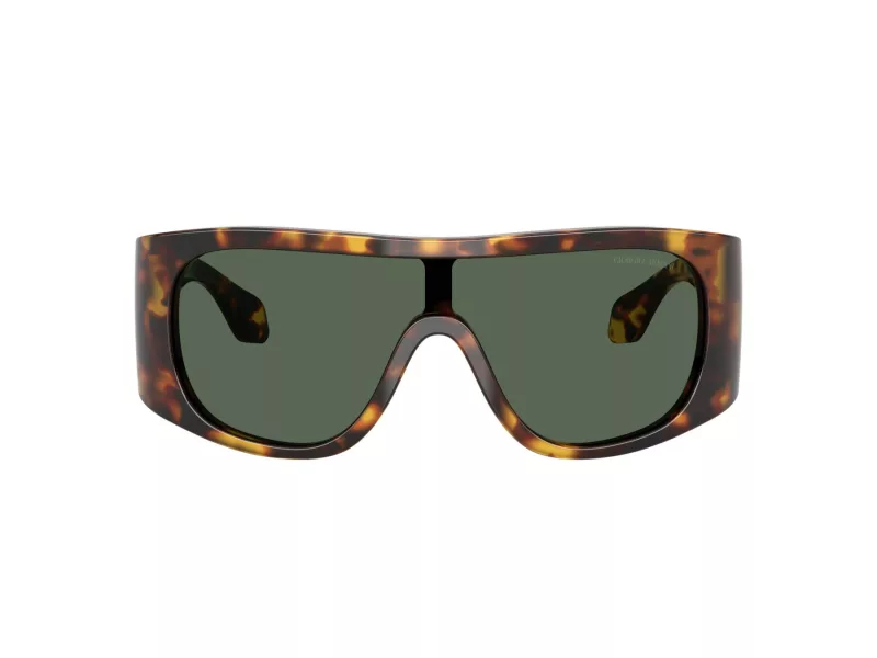 Giorgio Armani Lunettes de Soleil AR 8222U 509271