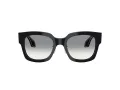 Giorgio Armani Lunettes de Soleil AR 8223 500111