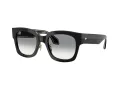 Giorgio Armani Lunettes de Soleil AR 8223 500111