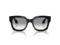 Giorgio Armani Lunettes de Soleil AR 8223 500111