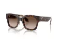Giorgio Armani Lunettes de Soleil AR 8223 502613