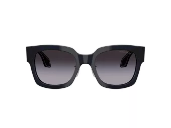 Giorgio Armani Lunettes de Soleil AR 8223 61608G