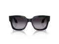 Giorgio Armani Lunettes de Soleil AR 8223 61608G