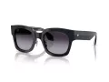 Giorgio Armani Lunettes de Soleil AR 8223 61608G