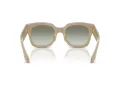 Giorgio Armani Lunettes de Soleil AR 8223 61618E