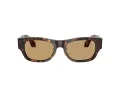 Giorgio Armani Lunettes de Soleil AR 8224 502673