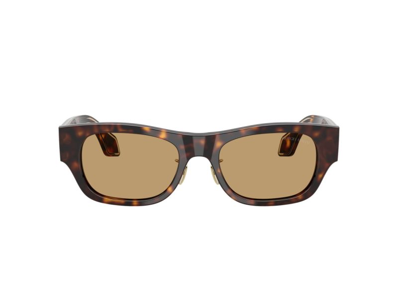 Giorgio Armani Lunettes de Soleil AR 8224 502673