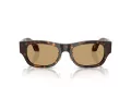 Giorgio Armani Lunettes de Soleil AR 8224 502673