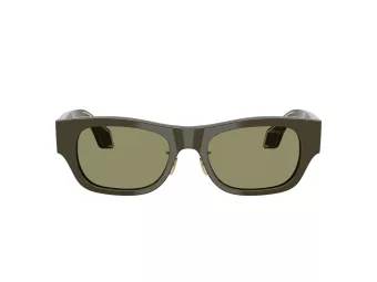 Giorgio Armani Lunettes de Soleil AR 8224 61582A