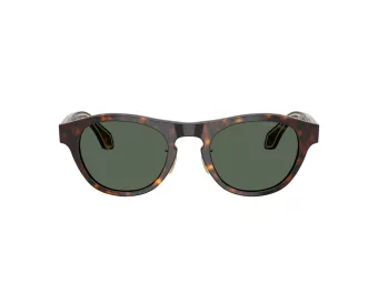 Giorgio Armani Lunettes de Soleil AR 8225 502671