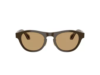Giorgio Armani Lunettes de Soleil AR 8225 619473
