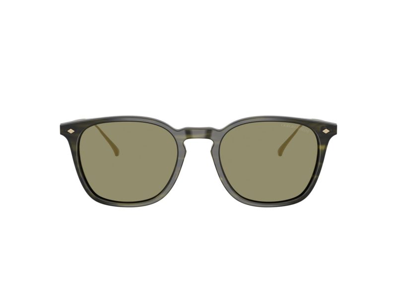 Giorgio Armani Lunettes de Soleil AR 8226T 62082A