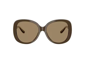 Giorgio Armani Lunettes de Soleil AR 8229U 595753