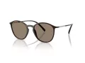 Giorgio Armani Lunettes de Soleil AR 8233U 6239M4