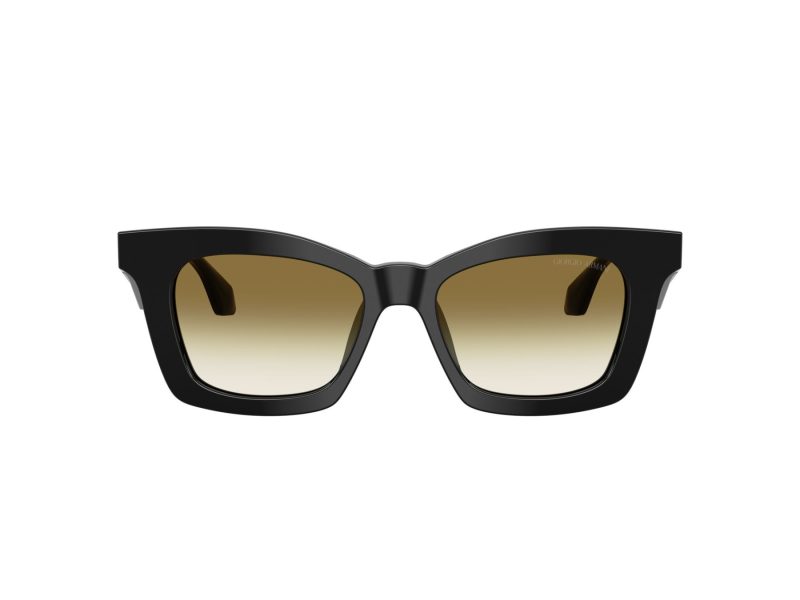 Giorgio Armani Lunettes de Soleil AR 8235U 50018E