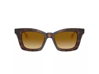 Giorgio Armani Lunettes de Soleil AR 8235U 62312L
