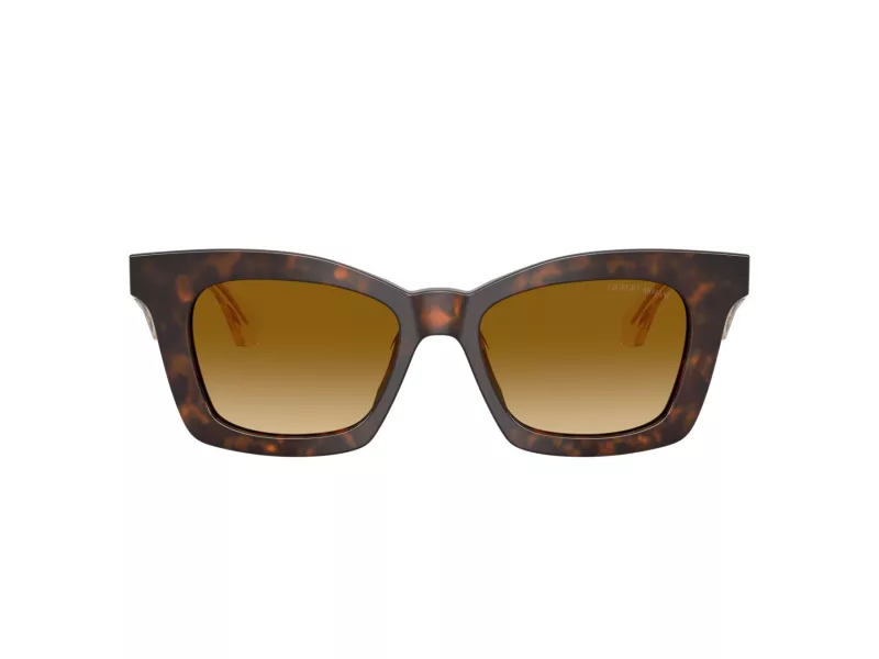 Giorgio Armani Lunettes de Soleil AR 8235U 62312L