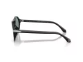 Giorgio Armani Lunettes de Soleil AR 8236U 507556