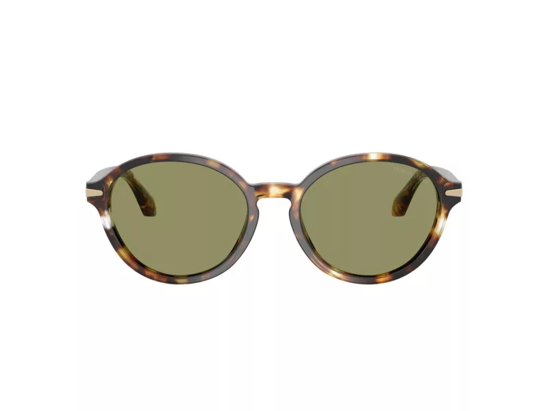 Giorgio Armani Lunettes de Soleil AR 8237 623214