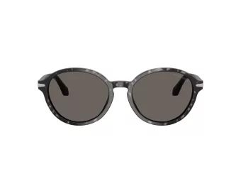 Giorgio Armani Lunettes de Soleil AR 8237 6236B1