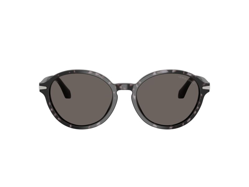 Giorgio Armani Lunettes de Soleil AR 8237 6236B1