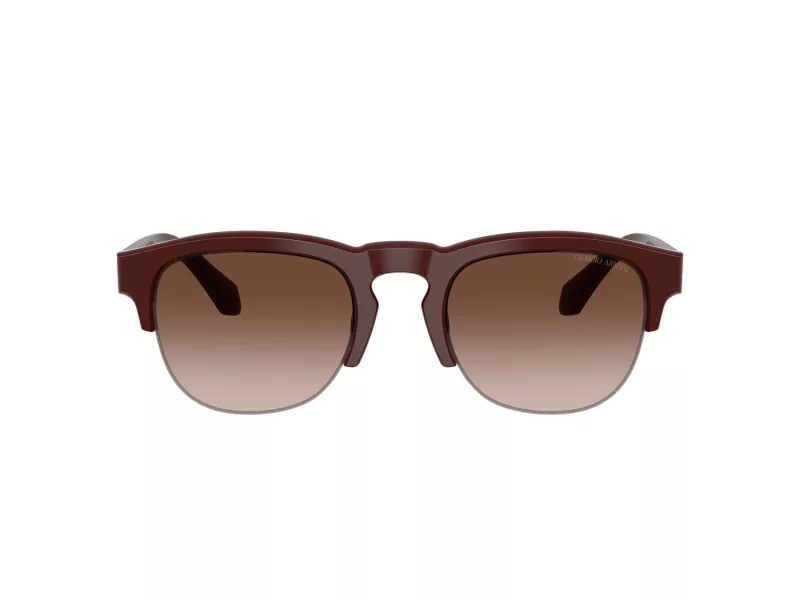 Giorgio Armani Lunettes de Soleil AR 8238 622113
