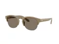 Giorgio Armani Lunettes de Soleil AR 8238 622273