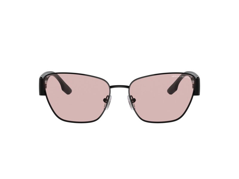 Armani Exchange Lunettes de Soleil AX 2051S 6000/5