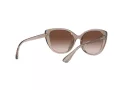 Armani Exchange Lunettes de Soleil AX 4111SU 8240/13