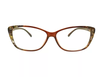 Berkeley Lunettes de Vue BB 1793 Brown