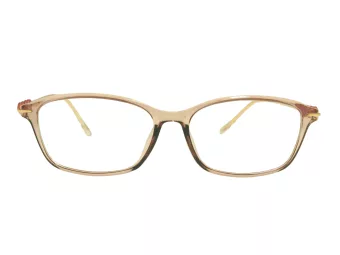 Berkeley Lunettes de Vue BB T5005 C4