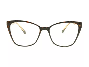 Berkeley Lunettes de Vue BB TR76003 C2