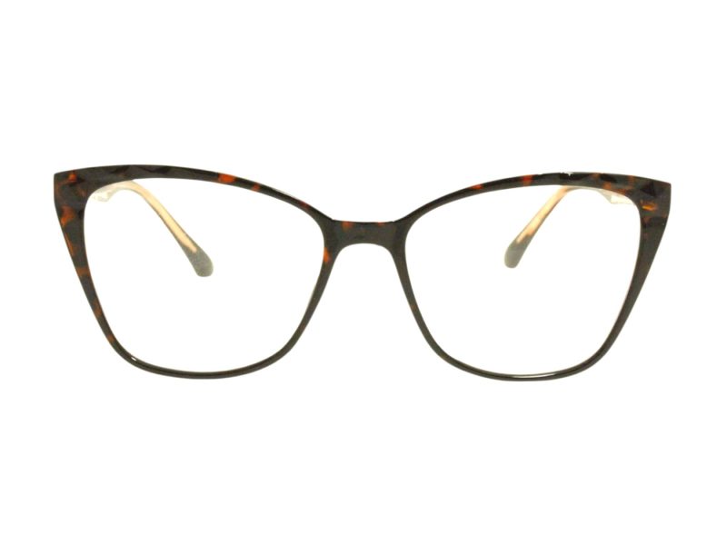 Berkeley Lunettes de Vue BB TR76003 C2