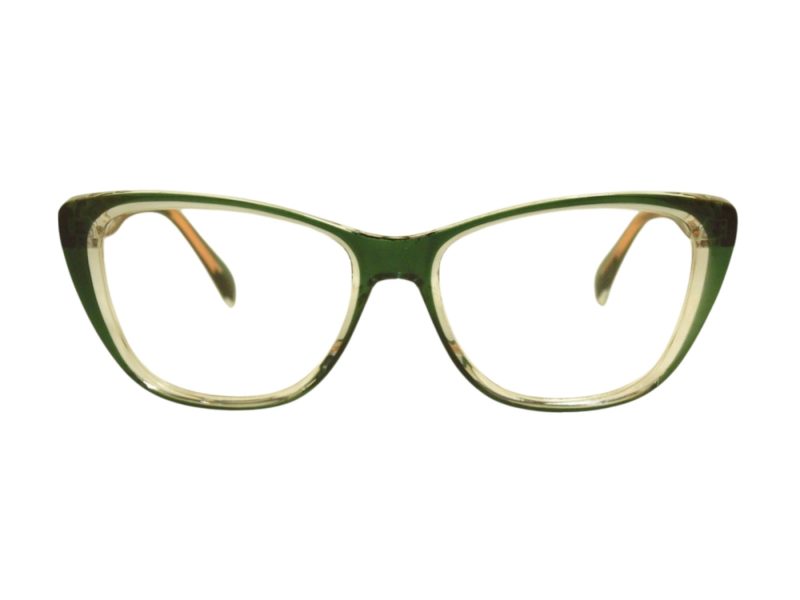 Berkeley Lunettes de Vue BB TR76045 C6