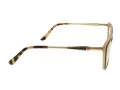 Berkeley Lunettes de Vue BB WP86004 C3