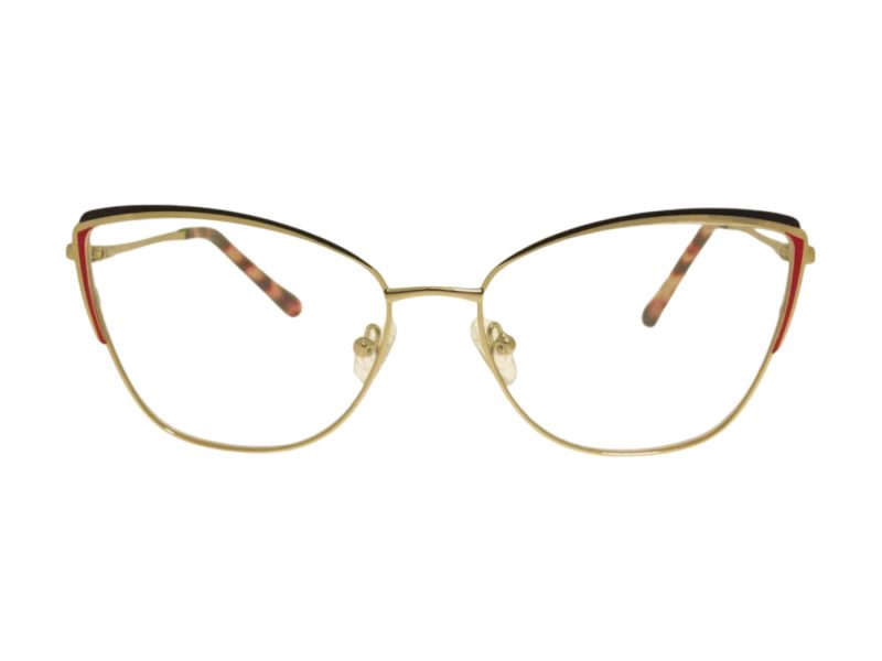 Berkeley Lunettes de Vue BB Y_MO21 C1
