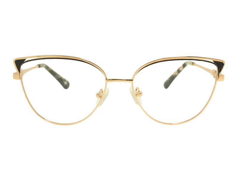 Berkeley Lunettes de Vue BB Y_MO23 C1