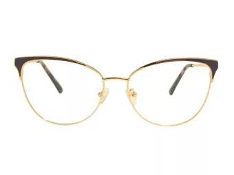 Berkeley Lunettes de Vue BB Y_MO26 C2