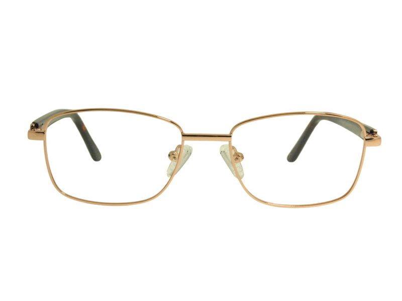 Berkeley Lunettes de Vue BB Y_MO42 C2