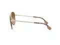 Burberry Ferry Lunettes de Soleil BE 3113 110913