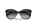 Burberry Lunettes de Soleil BE 4216 3001T3