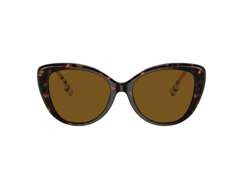 Burberry Lunettes de Soleil BE 4407 385483