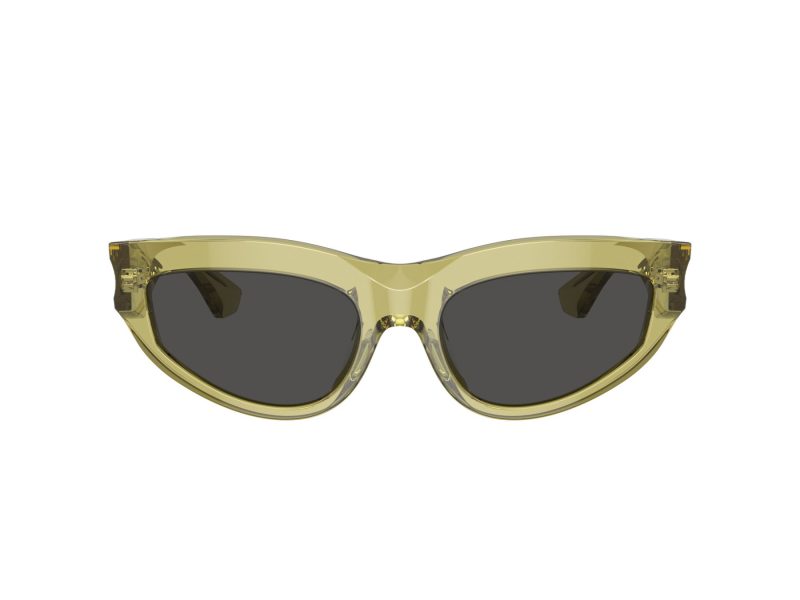 Burberry Lunettes de Soleil BE 4425U 411887