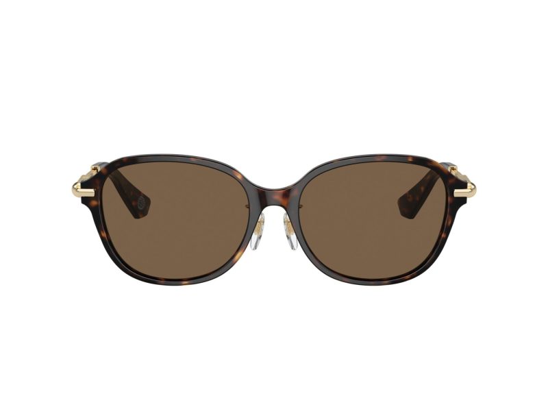 Burberry Lunettes de Soleil BE 4429D 300273