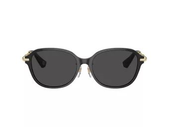 Burberry Lunettes de Soleil 4429D 411287
