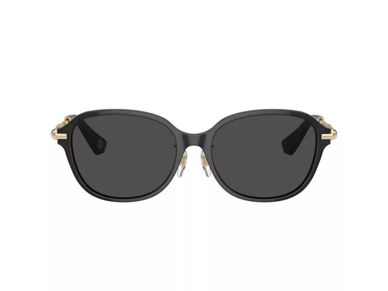 Burberry Lunettes de Soleil 4429D 411287