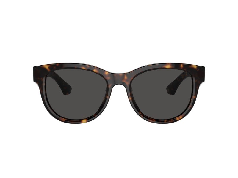 Burberry Lunettes de Soleil BE 4432U 300287
