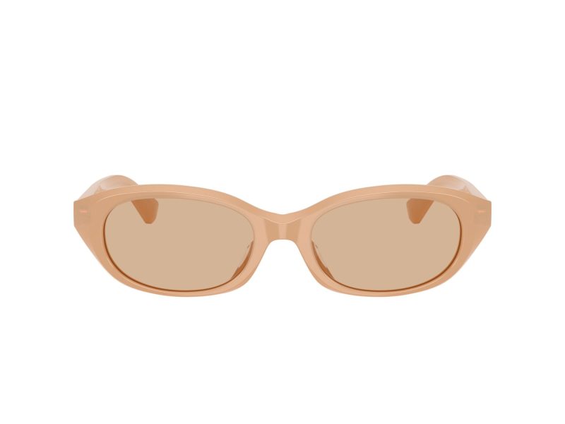Burberry Lunettes de Soleil BE 4447D 415073