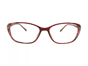 Berkeley lunettes pour ordinateur BB 1688 Purple 54